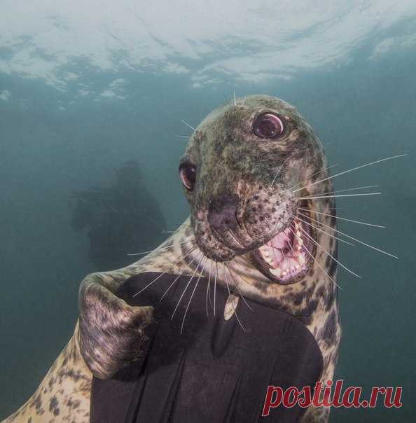 Харизма, льющаяся через край.