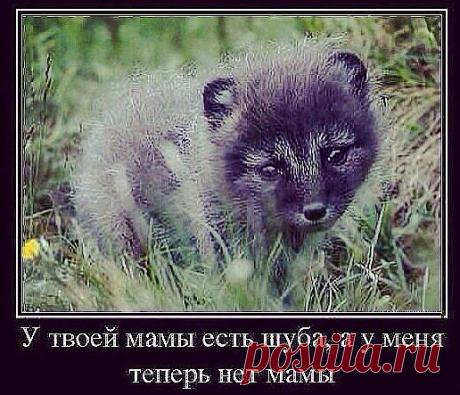 Малыш без мамы.