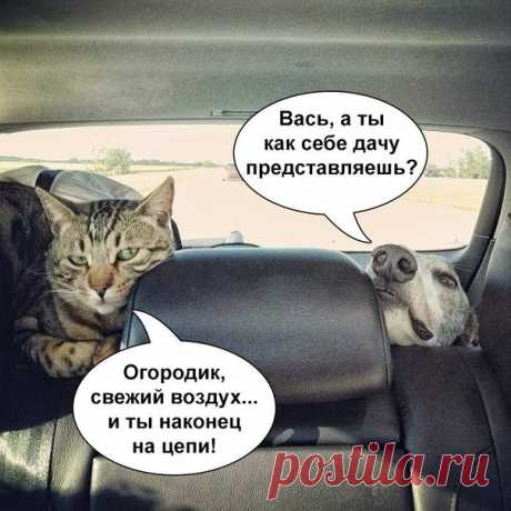 Муж хотел завести любовницу. Я отговорила, мол, дорого, не потянем... Муж хотел завести любовницу. Я отговорила: "Мол, дорого, не потянем". Лучше я заведу любовника, лишняя копейка в доме не помешает.

Я, наверное, единственный человек, который измеряет время в песнях. …