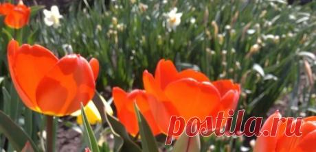 Вовремя "избавилась" от 3-х вредных привычек "отпугивающих удачу"! Жаль, что раньше о них не знала | Преображение. Женская психология | Яндекс Дзен