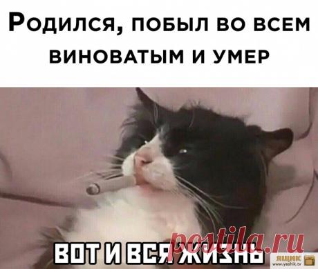 Ржачные фото-приколы / Картинки: Приколы