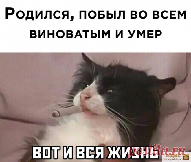 Ржачные фото-приколы / Картинки: Приколы