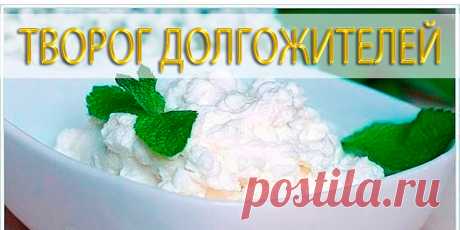 ТВОРОГ ДОЛГОЖИТЕЛЕЙ | Полезные советы