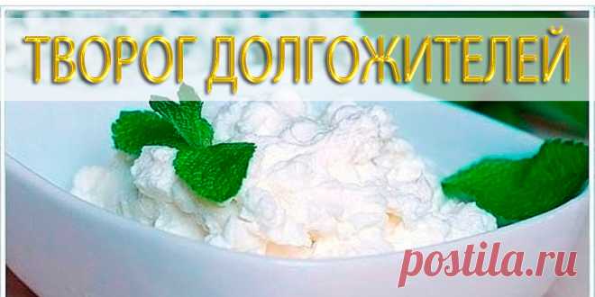 ТВОРОГ ДОЛГОЖИТЕЛЕЙ | Полезные советы