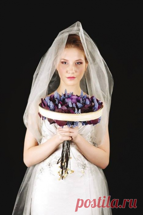 (5) Флористика України