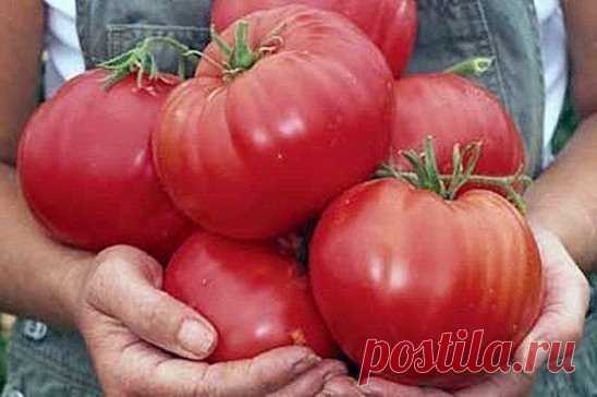 (63) Одноклассники