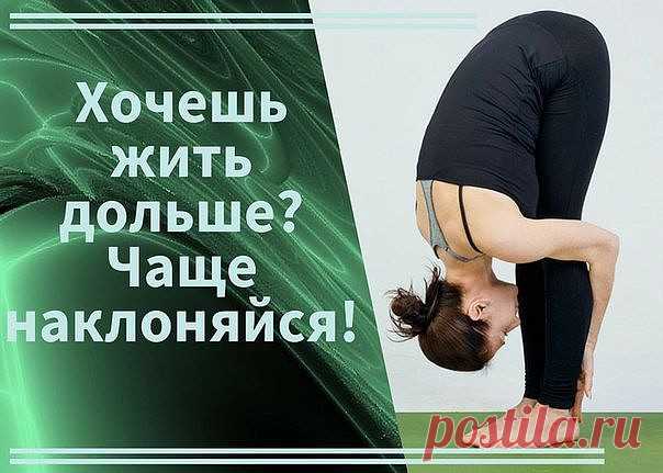 Хочешь жить дольше? Чаще наклоняйся!
Поясничная мышца (the psoas muscle) — это самая глубокая мышца 
человеческого тела, влияющая на наш структурный баланс, мышечную 
интеграцию, гибкость, силу, диапазон движений, подвижность суставов и 
функционирование органов.

«Мышца души» находится в теле вовсе не в груди, как можно предположить, а
 в области таза. Стрессы современной жизни закрепощают ее, порождая 
проблемы со здоровьем.


Влияние образа жизни на здоровье

В даосской...