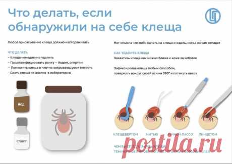 В Соликамском городском округе зафиксированы первые пострадавшие от укуса клещей в этом сезоне.
Так на конец апреля в травмпункт обратилось 7 человек, 1 человеку понадобилось лечение в стационаре.
Соликамцы, соблюдайте меры предосторожности! О том что делать, если вы обнаружили на себе клеща, читайте ниже