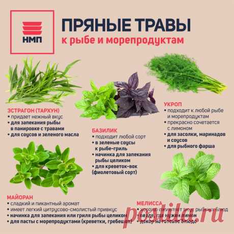Пряные травы к рыбе и морепродуктам