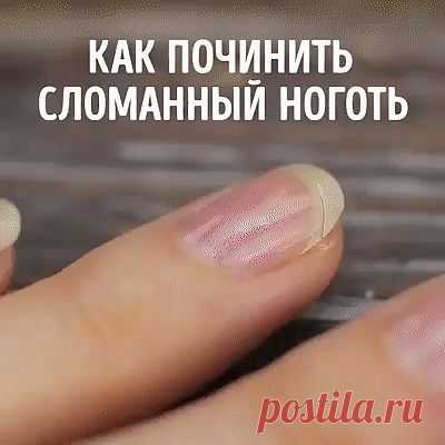 1 непрочитанный чат
