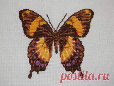Фотография 241115 - Альбом пользователя id815103 - 22101 – BabyBlog.ru