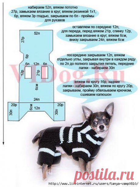 Вязанный комбинезон для собаки