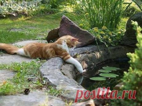 Ляжу я на пляжу...