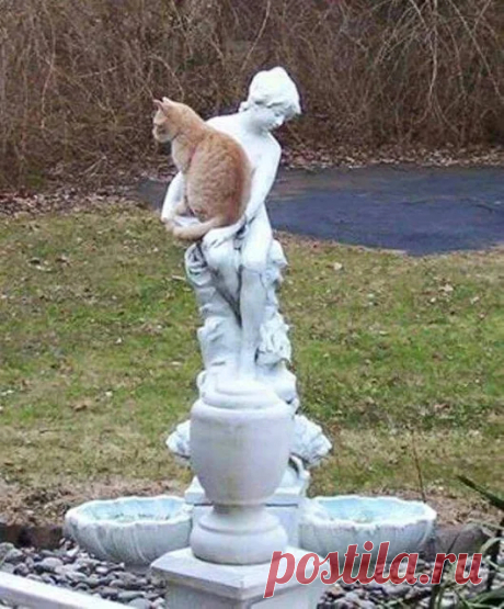 Animals - Google+
