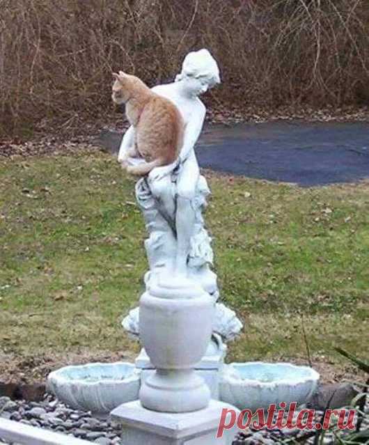 Animals - Google+