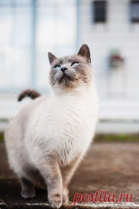 Берегите природу