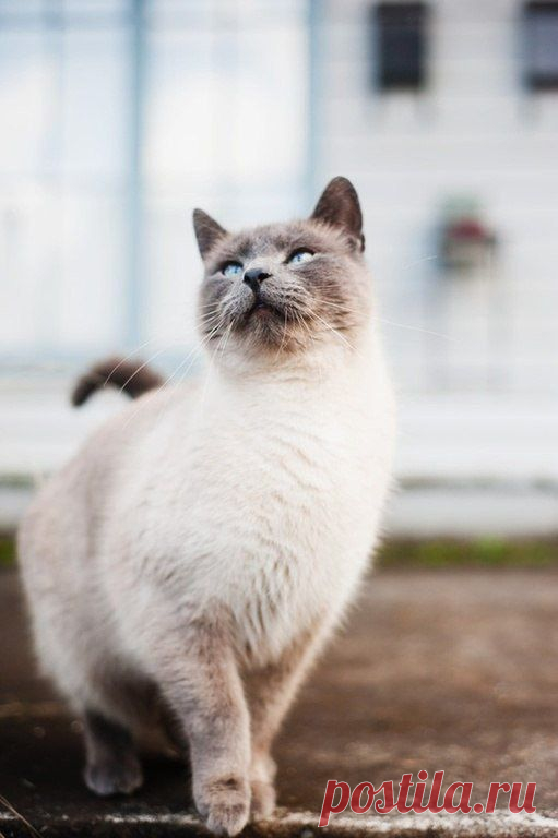 Берегите природу