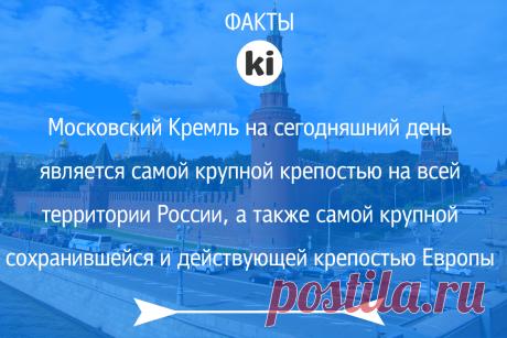 #kikiticket | #факты | #бытьвнужномместе