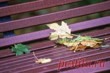 Москвичей предупредили об уходе температуры в «минус». Со среды, 18 октября, в Москву придут заморозки. Об этом жителей столицы предупредил научный руководитель Гидрометцентра России Роман Вильфанд в беседе с агентством ТАСС. По словам метеоролога, со среды и до конца текущей недели по ночам прогнозируется температура до минус одного — плюс четырех градусов.