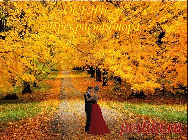 Я ухожу в осеннюю аллею,
Иду неспешно, листьями шурша.
И ни о чем я больше не жалею,
Осенний блюз поет моя душа.
Я ухожу в осеннюю небрежность.....