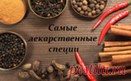 Самые лекарственные специи