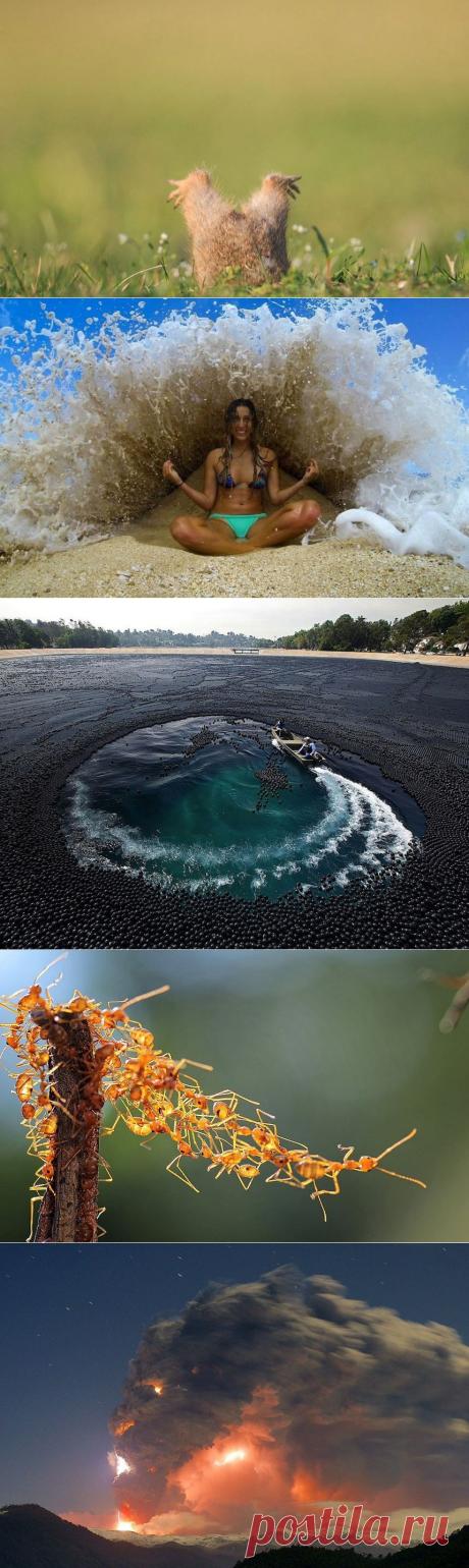 ФотоТелеграф » Без фотошопа