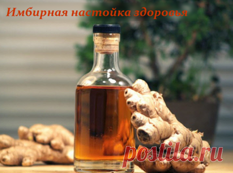 Имбирная настойка здоровья