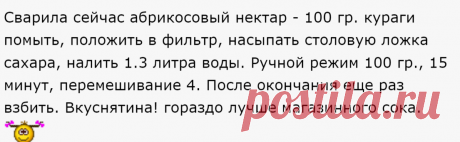 Абрикосовый нектар - 100 гр. кураги помыть, положить в фильтр, насыпать столовую ложка сахара, налить 1.3 литра воды. Ручной режим 100 гр., 15 минут, перемешивание 4. После окончания еще раз взбить.