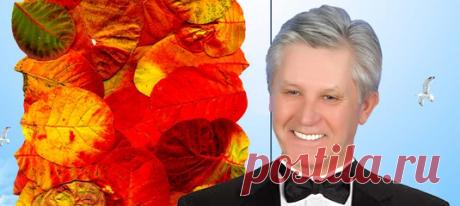 Александр Черных