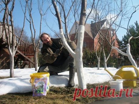 Весенние работы на даче | Выживи сам