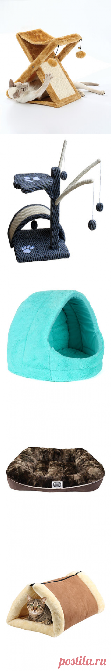 Most-Shared Pet Picks | zulily