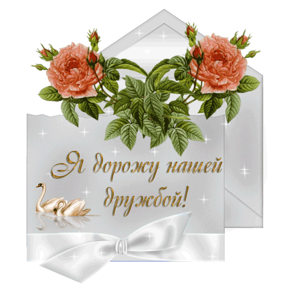 Привет новому Другу!