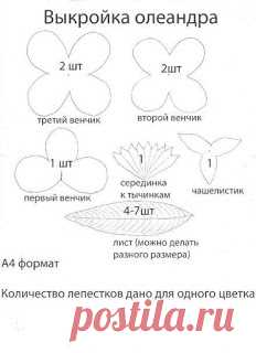 Выкройки цветов. Фоамиран. - Nebka.Ru