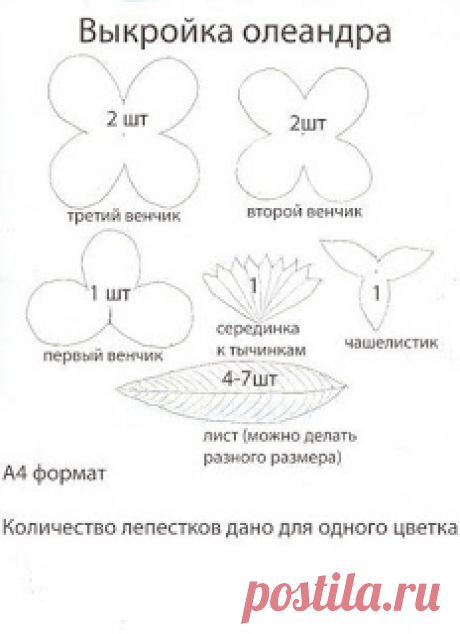 Выкройки цветов. Фоамиран. - Nebka.Ru