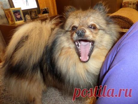 да красивый я,красивый,чё пристали