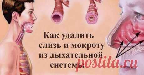 Как выгнать слизь и мокроту из горла и груди: список средств, которые работают Основными причинами кашля и проблем с дыханием являются назальная и дыхательная обструкция, которые часто вызываются мокротой.