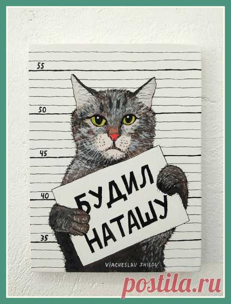 Знаменитые Наташины коты, сама Наташа и их путь к успеху | Следом за котом | Яндекс Дзен