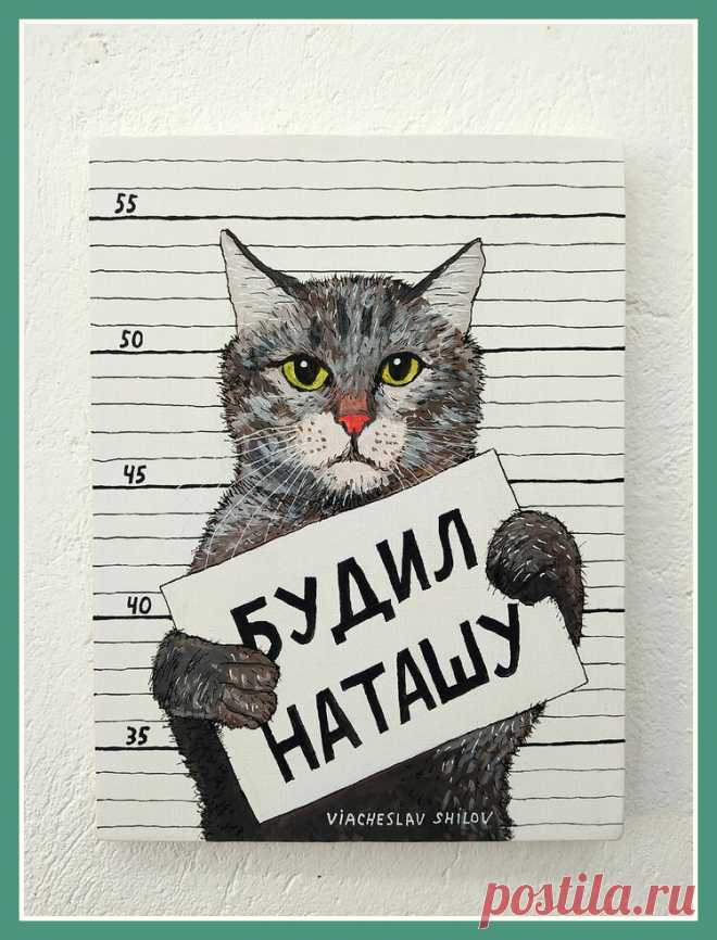 Знаменитые Наташины коты, сама Наташа и их путь к успеху | Следом за котом | Яндекс Дзен