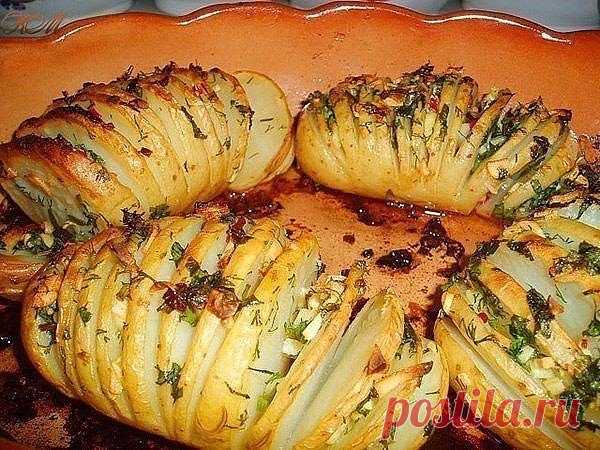 10 вкусных рецептов из картофеля » В сети – себя просвети! - Развлекательный портал!
