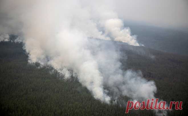 Сразу несколько регионов России охватили лесные пожары. По всей России на фоне жаркой и сухой погоды начались лесные пожары. Леса тушили и рядом с Ленинградской АЭС, и рядом с поселком Париж в Челябинской области. Как и где горят леса и торфяники — в видео РБК