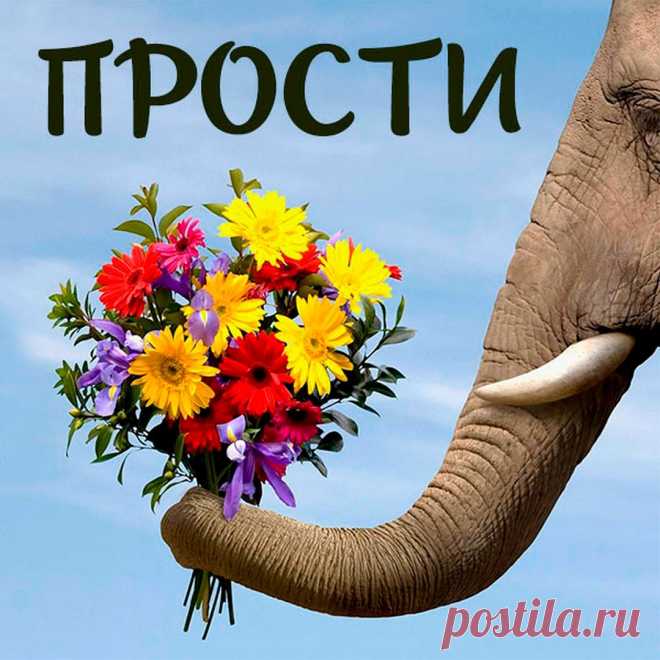 Прости (открытка 915): Бесплатные картинки &#8226; Otkrytki.Top