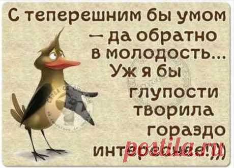 весёлые картинки для поднятия настроения – Google Поиск
