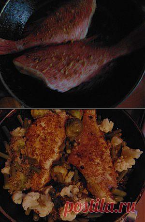 Мой рецепт приготовления морского окуня с капустами и фасолью | Вкусно есть и не полнеть? Запросто!