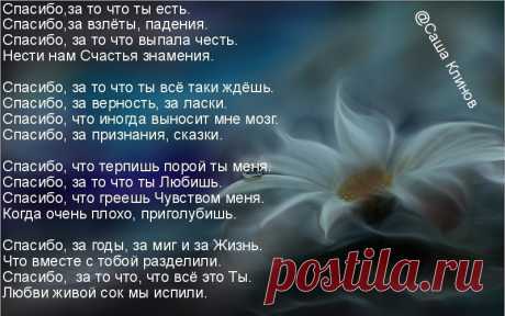 Картинки со словами «Спасибо, что ты есть..»(33 фото) ⭐ Забавник