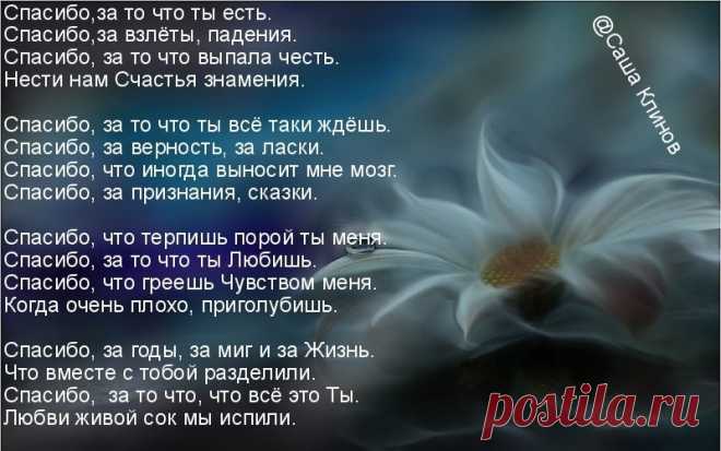 Картинки со словами «Спасибо, что ты есть..»(33 фото) ⭐ Забавник