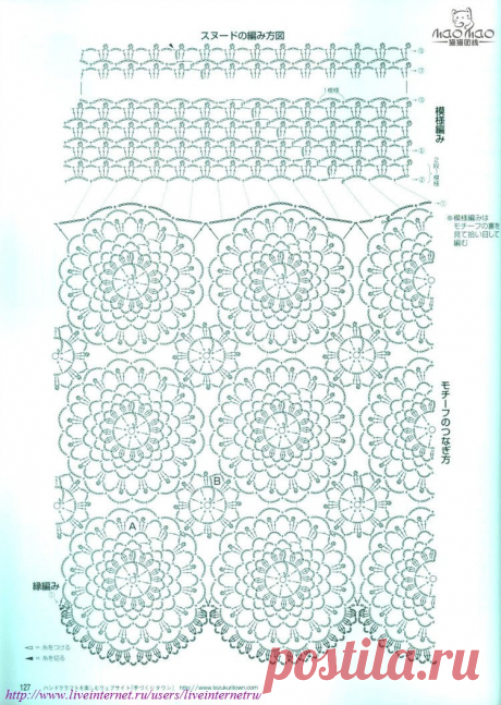 Радикал-Фото: Картинка -