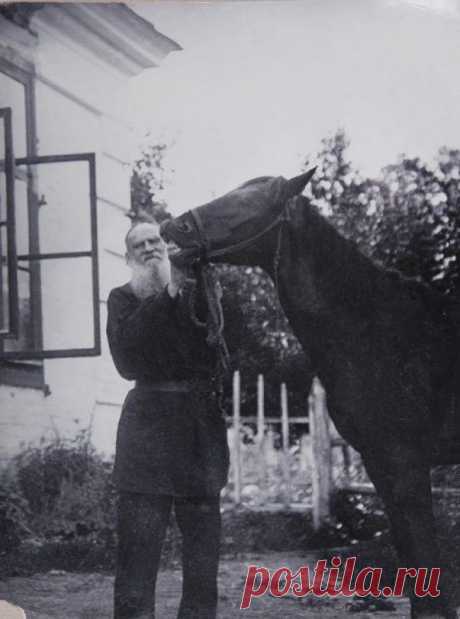 Фотографии знаменитых россиян, какими вы их точно не видели / Всё самое лучшее из интернета