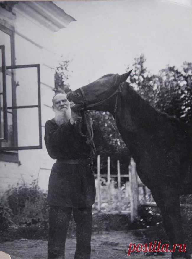 Фотографии знаменитых россиян, какими вы их точно не видели / Всё самое лучшее из интернета