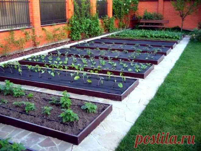 17 интересных идей для дачи, которые можно сделать своими руками