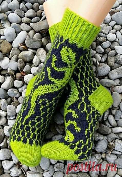 Носки с саламандрой